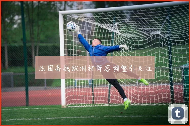 法国备战欧洲杯阵容调整引关注