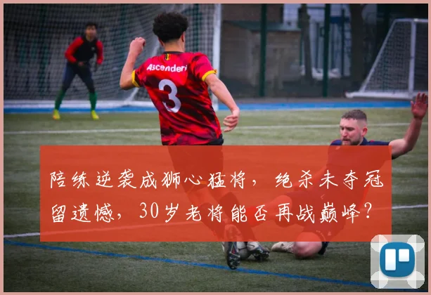 陪练逆袭成狮心猛将，绝杀未夺冠留遗憾，30岁老将能否再战巅峰？