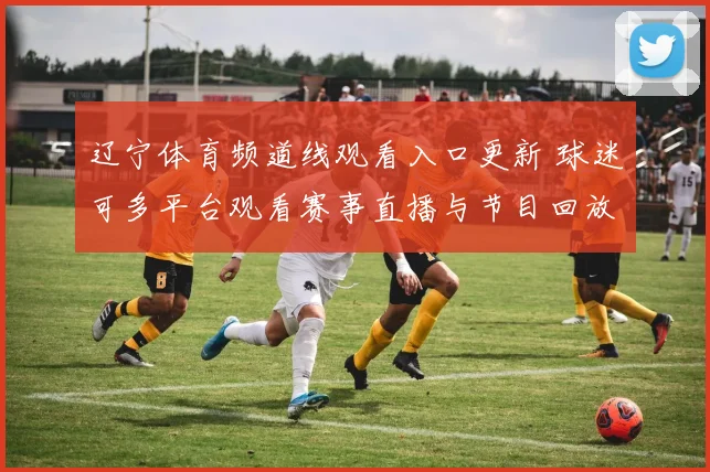 辽宁体育频道线观看入口更新 球迷可多平台观看赛事直播与节目回放