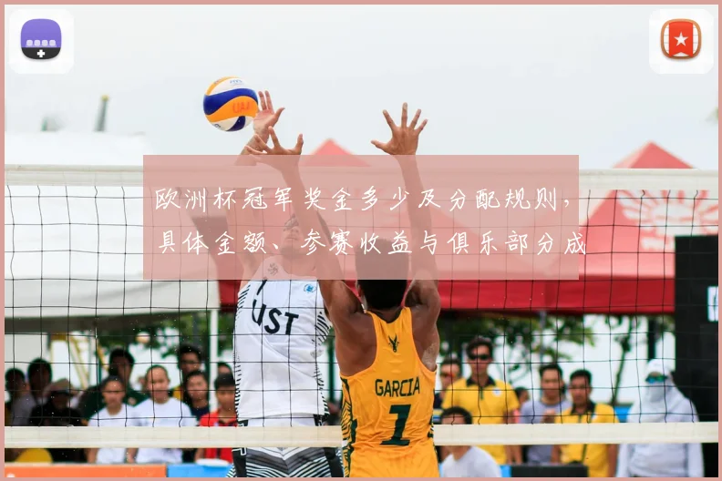 欧洲杯冠军奖金多少及分配规则，具体金额、参赛收益与俱乐部分成解读
