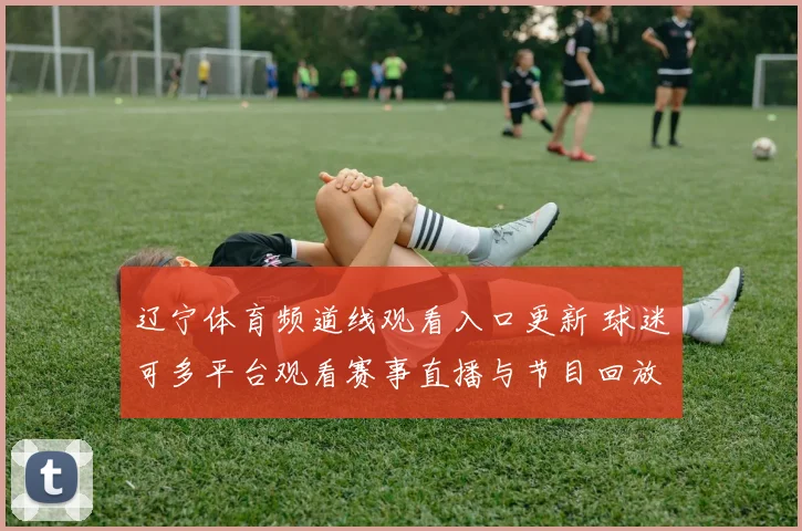 辽宁体育频道线观看入口更新 球迷可多平台观看赛事直播与节目回放